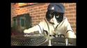 DJ Kitty