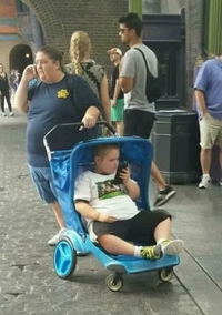 Telle mère, tel fils