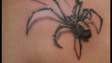 Tatouage araignée 3