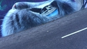 Un graffiti magnifique