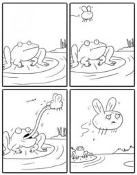 Une grenouille, une mouche