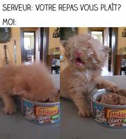 Votre repas vous plait?