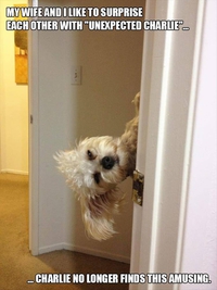 Jeu du Charlie surprise