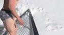 Plongeon frais