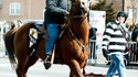 Look at my horse !