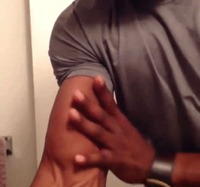 Muscle WTF