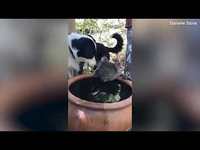 Invitation à boire un drink