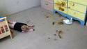 Tout le monde veut des enfants