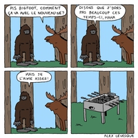 Pendant ce temps, dans la forêt lointaine...