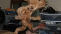 Caniche ensorcelé