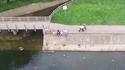 Un drone en détresse 