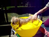 Aquaphobe 2