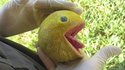 Cadavre de Pacman
