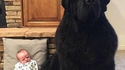 Un bébé