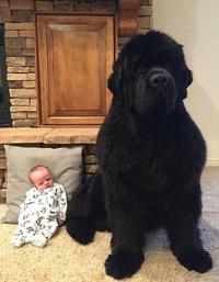 Un bébé
