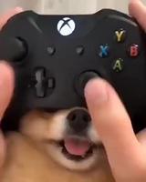 Nouvelle extension de manette.