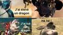 Chacun manipule son dragon comme il veut