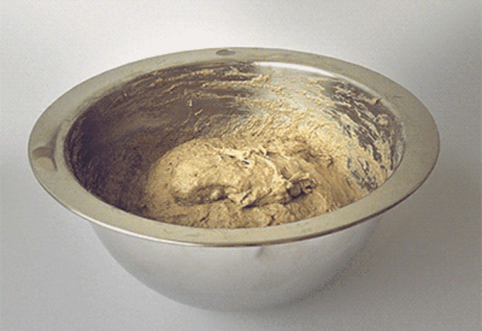 La fermentation