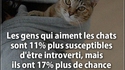 Utilité du chat