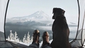 Une vie de chien
