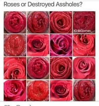 presque pareil , presque aussi romantique 