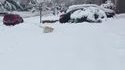 Va chercher dans la neige !