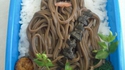 Bento Chewbacca 