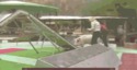 Agility pig