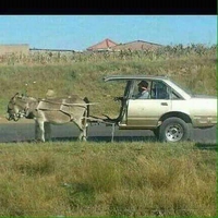 La 2 chevaux du bled