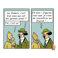 Le seigneur des anneaux