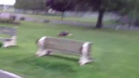 Tentative de saut de banc