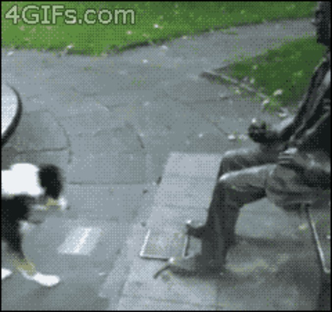 C'est con un chien.