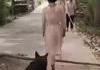 Un chien altruiste