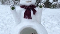 Bonchat de neige