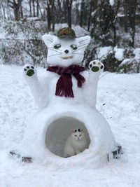Bonchat de neige