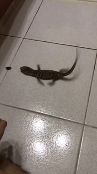 Rien ne sert de courir