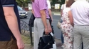 Un beau mulet