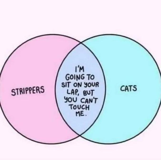 Les stripteaseuse sont comme les chats