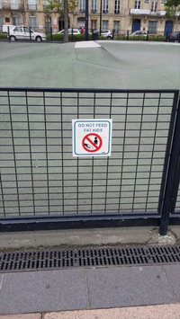 Pendant ce temps, devant la cour de l'école