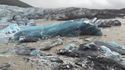 Un iceberg prend le large