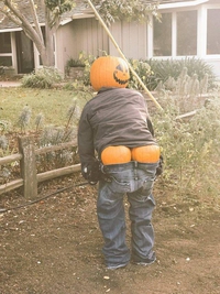 Halloween, mon c*l !