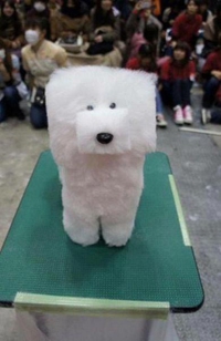 Minecraft dog