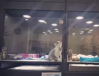 Un moment vraiment trop mignon