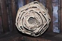 Un nid de frelons coupé par le milieu