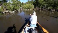 En canoë au milieu des crocodiles
