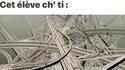 Généalogie