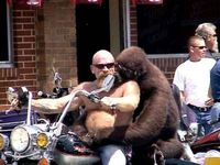 Un biker et son vieux singe