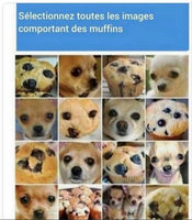 Les captchas sont de plus en plus balèzes !