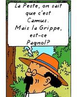 question immunologie