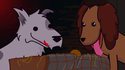 Dogs